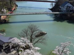 昼食後は柳津へ足をのばし只見川の景色に映える圓蔵寺の桜を見に行きました。