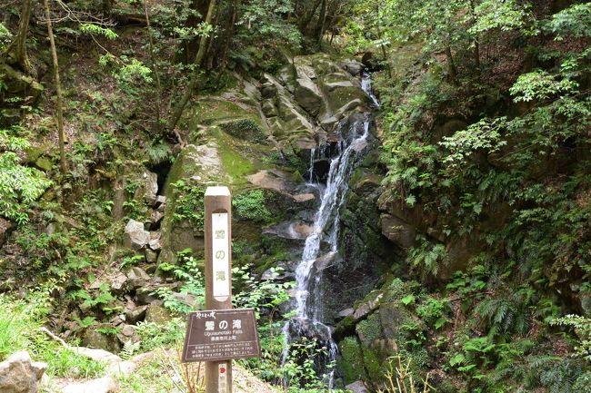 鶯の滝を見に行きましたがこの往復2キロが無駄でした・・・<br /><br />　　