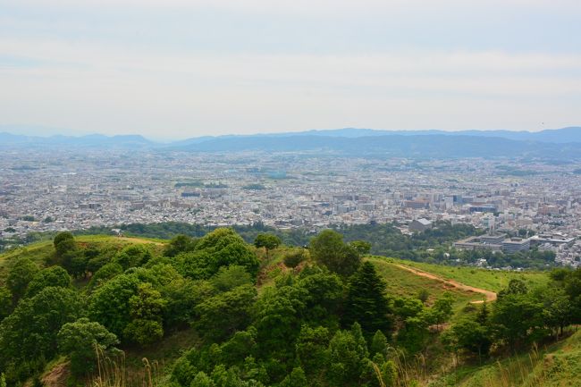 やっとのことで　若草山山頂にとうちゃこ