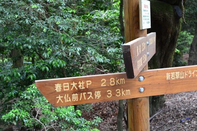 2.8キロの下りが待ってます