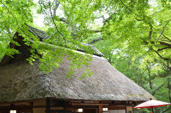藁ぶきの茶屋が見えてきました　　とうちゃこです