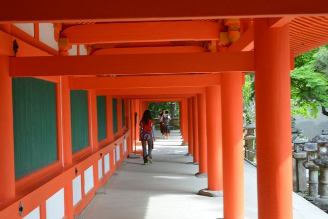 きれいな朱色ですね<br /><br />　春日大社の朱色は特別の色のようですね　なかなか手に入らない材料でできてます（ＮＨＫより・・）