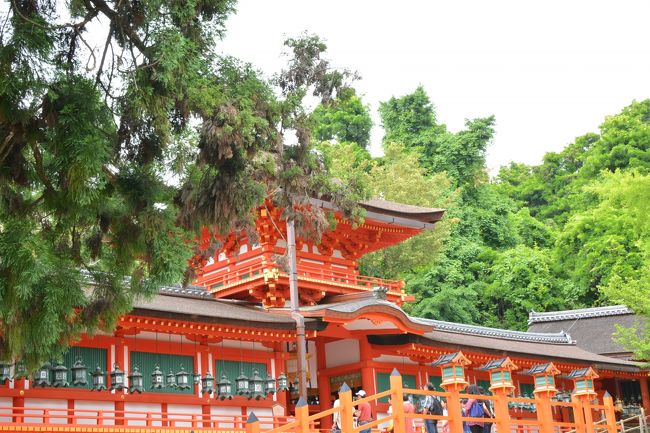 春日大社には初めての参拝でした<br /><br />　今度はゆっくりと若宮15社も回りたいですね・・・<br /><br />　　さだまさしの　歌とともに・・