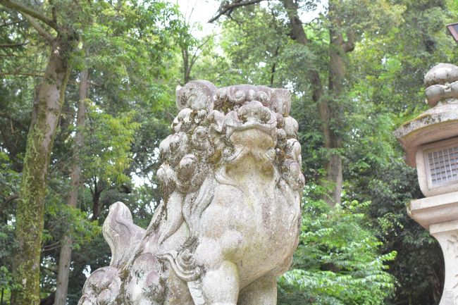 駐車場から２時間弱で我が家に到着<br /><br />　奈良　今度は秋にポタリングですね・・・<br /><br />　　では嫁はんポタリングでいかがでしょうか・・・<br /><br />　　その前に　登山・・・　ハイキングに行きたいのですがね・・