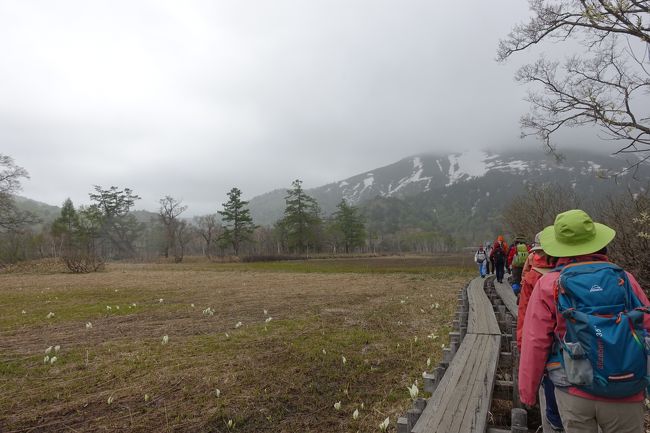 牛首分岐から山の鼻への帰路。正面に見えるのが至仏山。