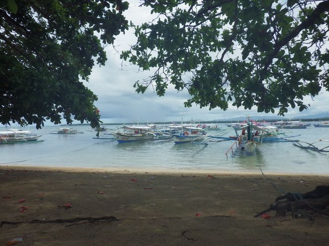 どしどし船が着岸してきます