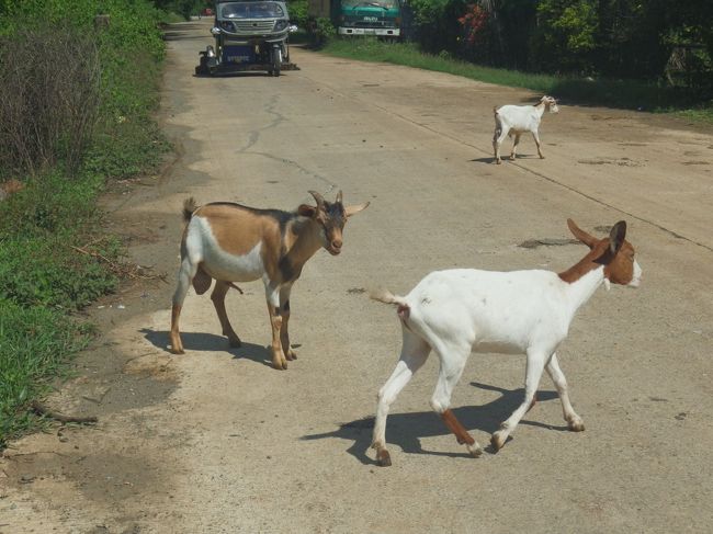自動車も止まって見送りしてます