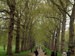 グリーンパークを歩きます。
曇ってますが、木々の中を歩くのは気持ちがいいです♪