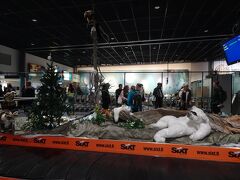 無事にロヴァニエミ空港に到着。
すごくコンパクトな空港で、迷うことなく荷物をピックアップ。
皆さんの旅行記で見ていたクマがいる～。