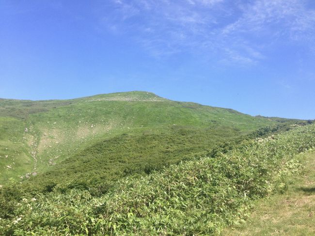 リフトを降りて、姥が岳を目指します。月山山頂とは向き合うような峰ですが、そこまでの道が気持ち良い風と原っぱのような緑、そして花々であふれていました。