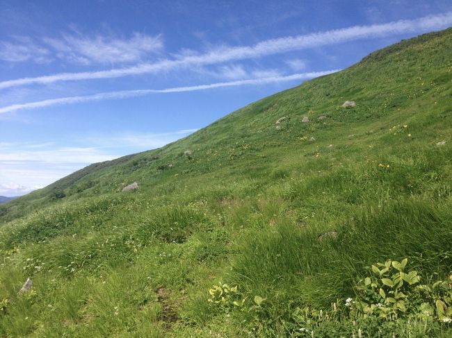 木道から続く木の階段を登り、傾斜を感じる。でも空は青く飛行機雲もたなびき（安定しているからか飛行機の通り道らしい）草原は蒼く清々しい傾斜。