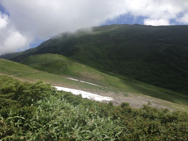 雪渓があります。もちろん植生保護のため立ち入り禁止。以前テレビの山番組で三脚立てて雪渓撮影している方がいましたが、ダメです！