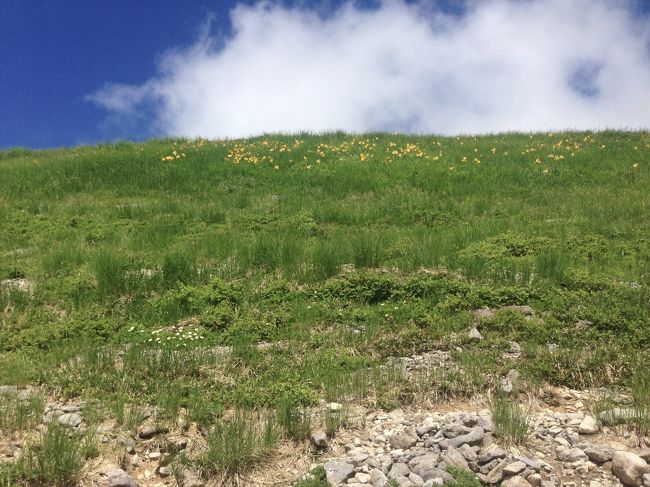 夏らしい空。ここから少し写真を撮る余裕がありませんでした。