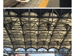 ■再スタート

７時５分茅ヶ崎駅到着。
ここから再スタート！