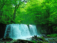 奥入瀬渓流の本流にかかる唯一の滝、「銚子大滝」。
幅20m、高さ7mのこの滝から散策をスタート。