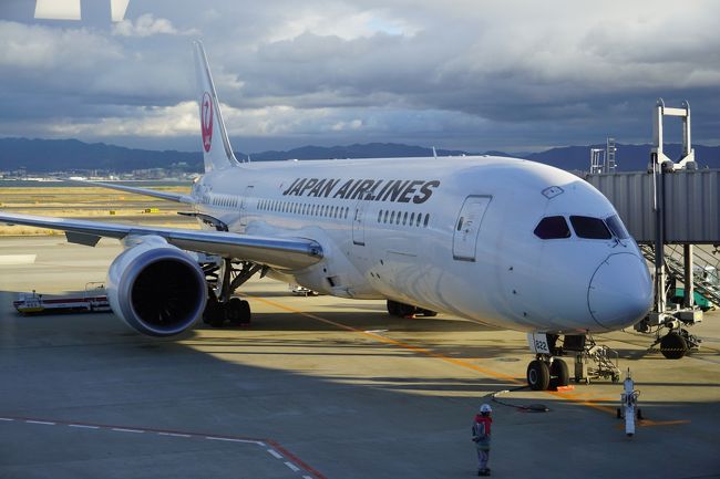 ボーイング　787<br />