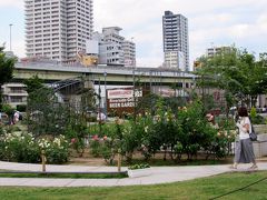 中之島の薔薇園へと出かけました。

明治24年（1891年）、大阪市で初めて誕生した公園です。 堂島川と土佐掘川にはさまれた延長約1.5ｋｍ、面積10.6haの緑あふれる都心のオアシスで、川の流れと中央公会堂、府立中之島図書館などの重厚な建築物が緑に映え、美しい景観を見せています。 また、淀屋橋から肥後橋まで延長400ｍの中之島緑道は、ケヤキ、ツバキ、ツツジなどの緑とともに、表情豊かな10体の彫刻が設置され、心やすらぐ遊歩道となっています