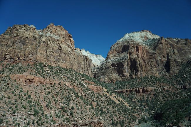 ガイドさんの説明がありましたが。