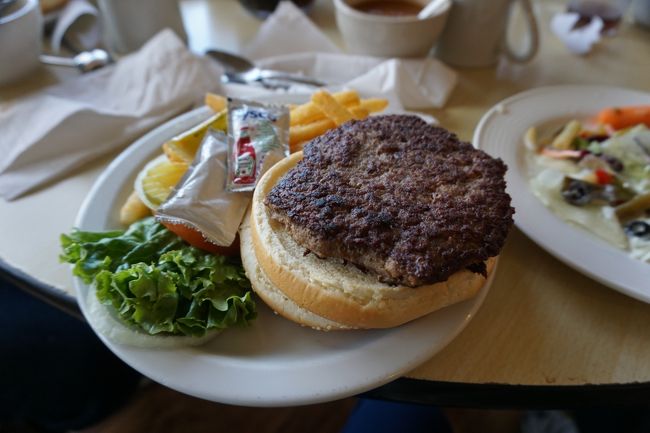 メインはこのハンバーグ。