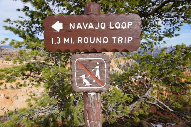 ハイキングコース