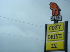 COZY DRIVE IN
やってきました！
