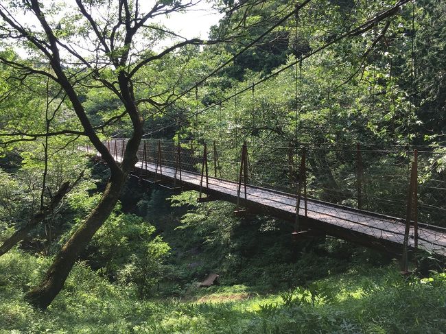 その雑木林の中の吊り橋。渡ると風を感じることができ、都会にはない空気に肺も心も広くなります。
