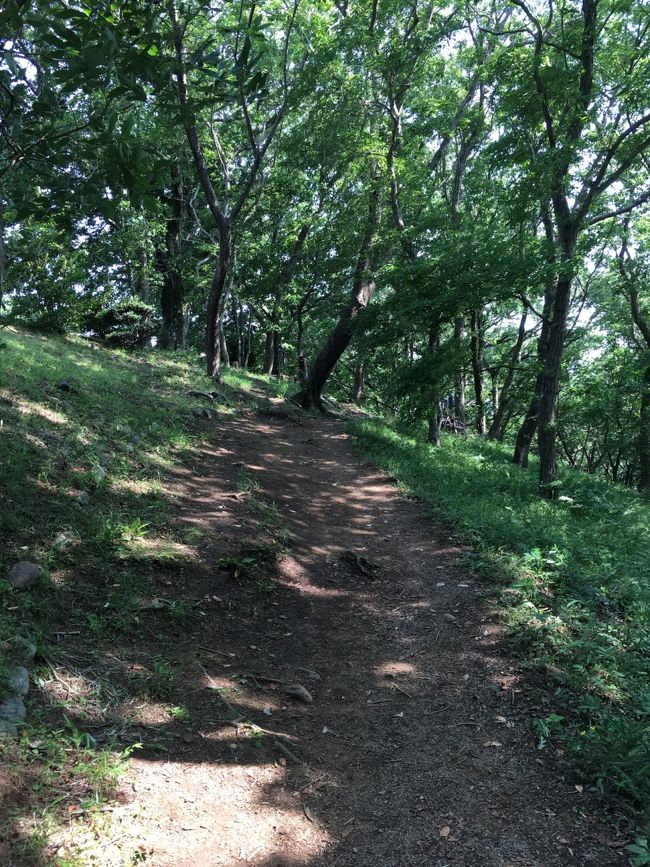 自動車が走る道を挟んで歩いていくと、雑木林（自然園）があり、また違った森林浴の楽しみがあります。その奥にベルナール・ビュッフェ美術館があるのです。
