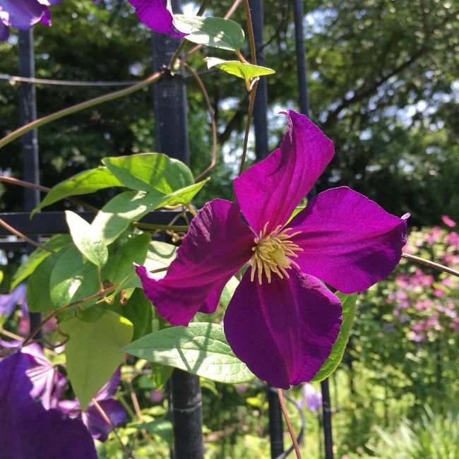 私はやっぱりこんな色💞