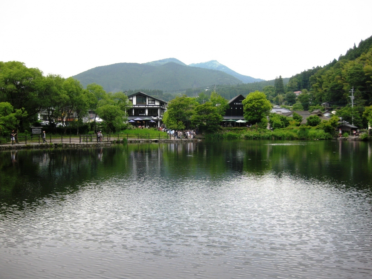 湯布院に入り、金鱗湖に来ました。

明治時代の儒学者、毛利空桑が湖からはねた魚の鱗が夕陽に当たり、金色に光っていたとのことで、その名前が付けられたと言われています。
