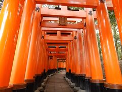 京都駅から約3km、伏見稲荷大社。
早朝であっても神社は基本的にいつでも開いている。
千本鳥居は拝殿の先の道にある。

