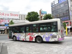 ＪＲ常磐線　金町駅北口

水元公園まで約２Ｋｍ、歩くと３０分ほど。
京成バスは１０分間隔、乗車時間は７分ほど。