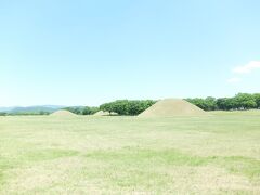 お店の前にある、大陵苑。

この一帯は巨大な公園となっています。

７基の新羅王陵と23の古墳が残っています。

古墳に上ってもＯＫ。