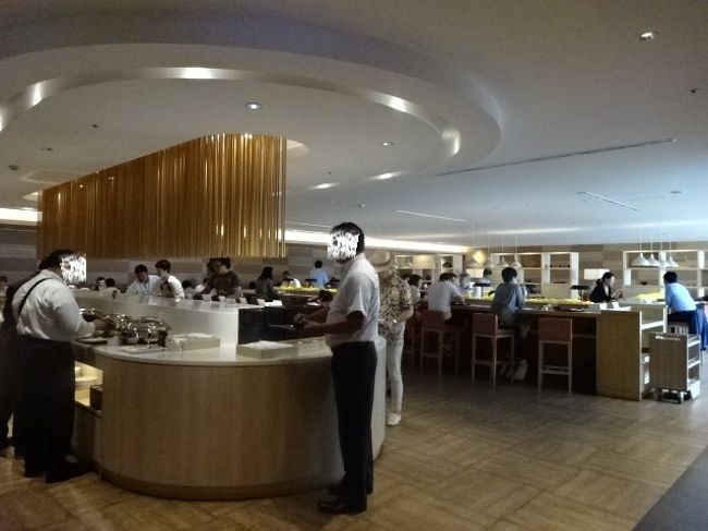 入口から全体を見渡した様子。窓が片側しかなく、少し暗めに感じるかもしれません。たしか機体は見えなかったように記憶しています。