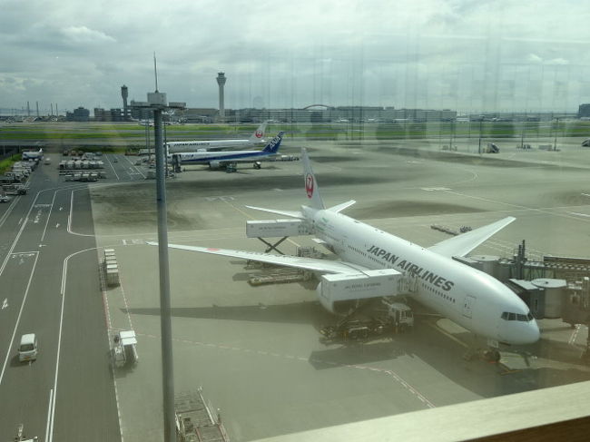 飲食エリアは満席でした。食べている人は少なく会話している人が多かったです。<br />窓側に座り、飛行機を眺めました。