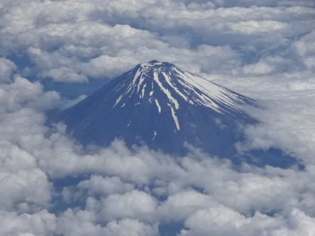 気分をとりなおして、自分だけの時間を楽しむよう心がけました。