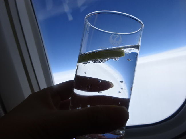 一度やってみたかった事。こんな時、お酒が飲めたらどんなに楽しい人生だったかと思う瞬間です。<br />でもこの写真撮れたので、夢のひとつは達成できました(笑)