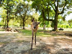 向こうからたたたたｔｔ