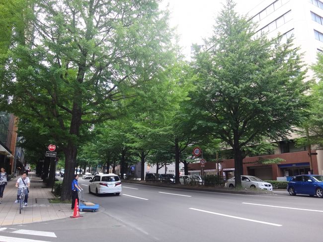 宮城県仙台市「愛宕上杉通り」の写真。<br /><br />緑豊かな仙台市内。非常にきれいで住みやすそうな街の印象。