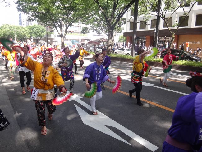 宮城県仙台市「東北絆まつり仙台」2017のパレードの様子。<br /><br />「仙台すずめ踊り」の写真。<br /><br />お祭りで人々を写真に撮ることに慣れていない為、どこを狙っていいかわかりません。<br />