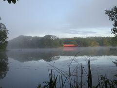 大沼にはいくつかの散策路があり、それを巡ってみることにした。