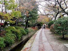 銀閣寺の後は、哲学の道をずーっと歩きました。
この辺から雨が降ってきました。