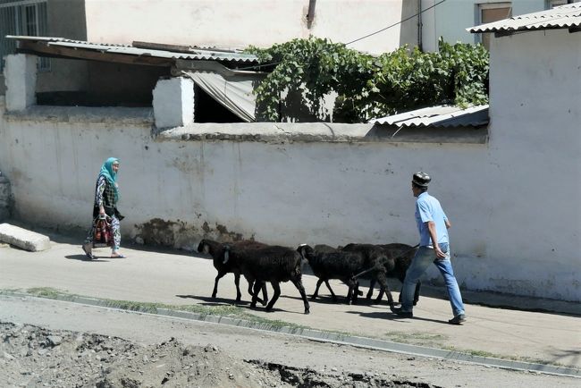 牛やロバが普通に道を歩いていました。