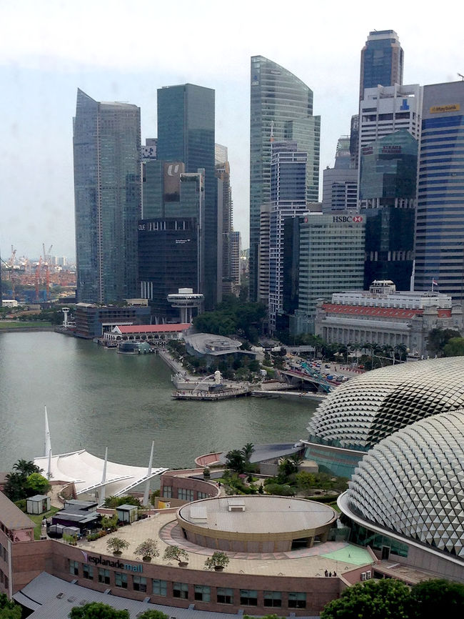 ダンナは午後から仕事へ。<br />いってらっしゃーい。<br /><br />私も2時間くらい寝て、<br />シャワー浴びてランチに出かけようと用意してたら…