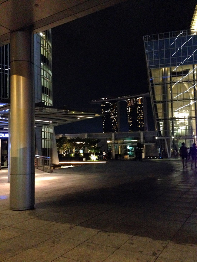 夜は、ダンナが仕事の人と夕飯に行くことになって、<br />ちゃっかりご一緒させてもらいました。<br /><br />フラトンベイホテルの近く。