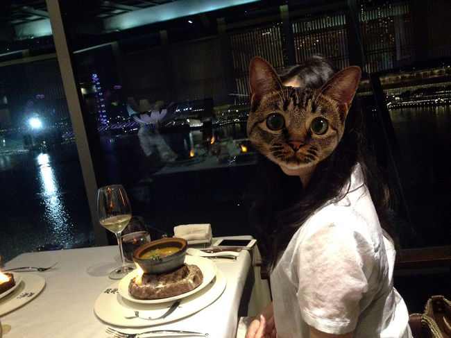 結構、ガタガタと回ってる感じがわかります。