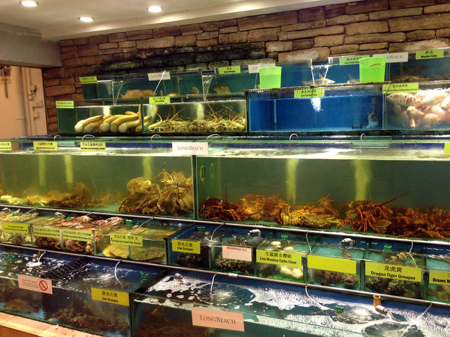 お店の奥にシーフードがたくさんいますよ～☆