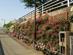 荒川公園まできました