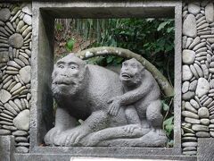 お次の観光スポットは、モンキーフォレスト！直訳すると、「猿の森」です。そうです。猿が自由に生活している森にお邪魔します。