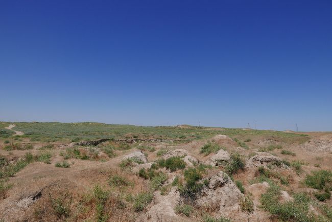 アフラシャブの丘に立ちます。<br />かつて、この丘に築かれていたサマルカンドの都は１３世紀にチンギスハン率いるモンゴル軍によって徹底的に破壊され、住民の3/4が殺害されたといいます。