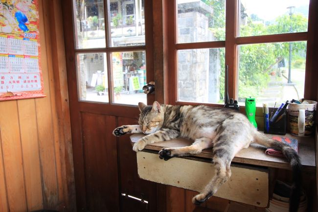 駅長室？みたいなところにも猫が。<br />やる気なし（笑）